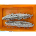 Chinesische gefrorene vorgekochte Thunfisch -Skipjack -Bonito -Lende